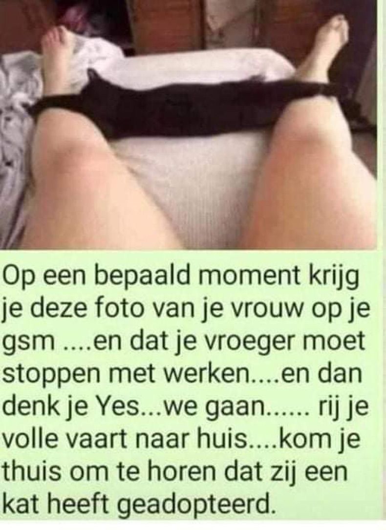 Gewoon een verzameling hilarische foto's #1671