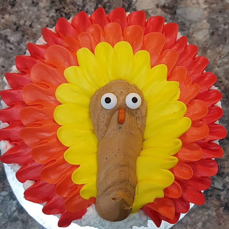 Gewoon een verzameling hilarische foto's #1672