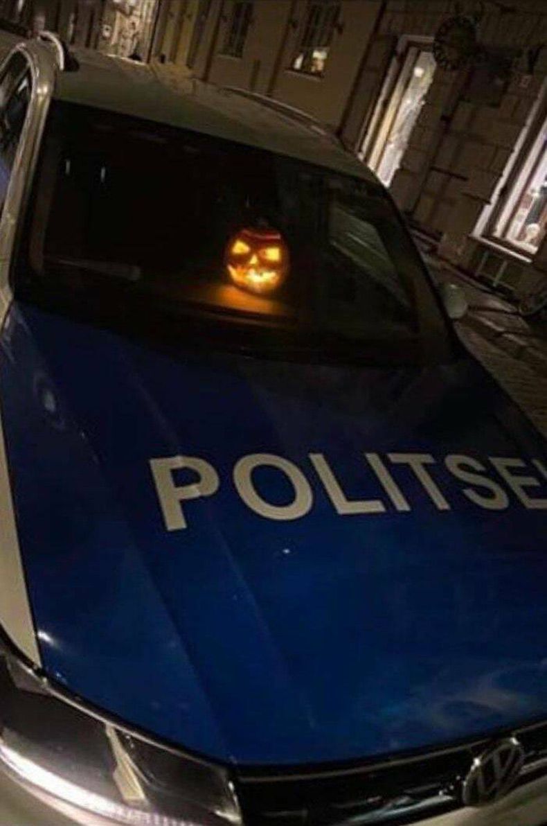 Gewoon een verzameling hilarische foto's #1672