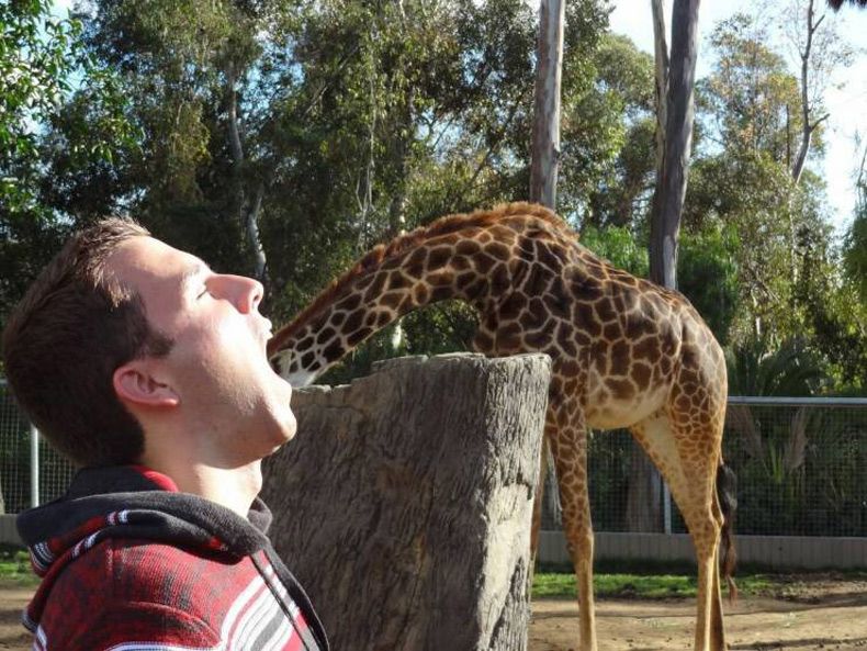 Gewoon een verzameling hilarische foto's #1673