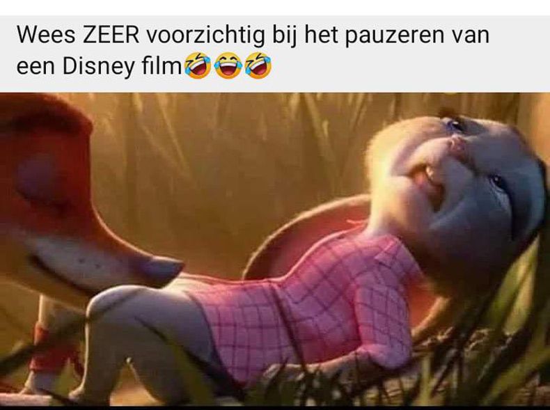 Gewoon een verzameling hilarische foto's #1673