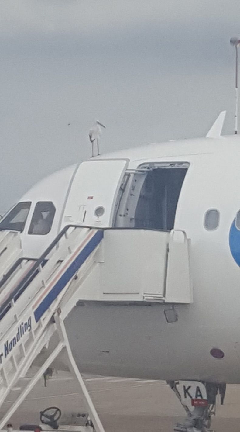 Gewoon een verzameling hilarische foto's #1674