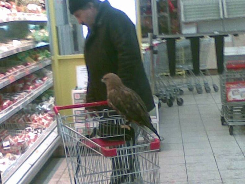 Gewoon een verzameling hilarische foto's #1674