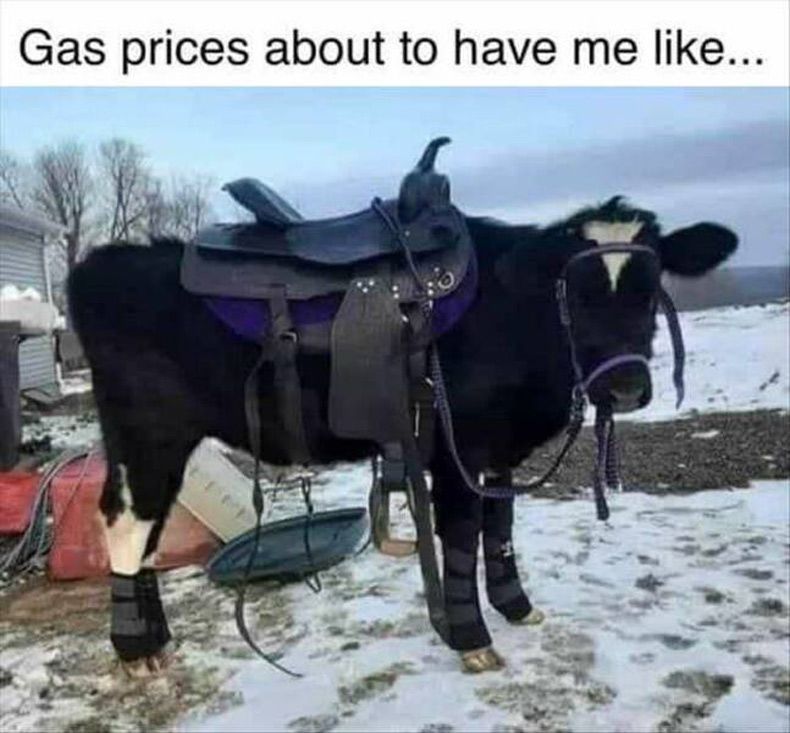 Gewoon een verzameling hilarische foto's #1674