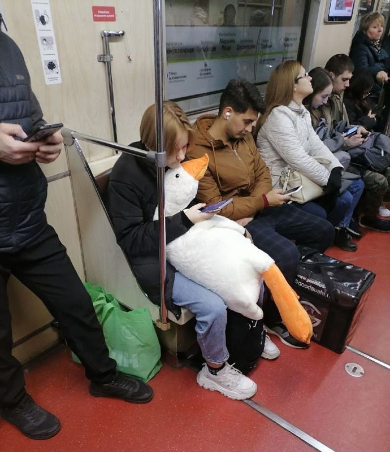 Gewoon een verzameling hilarische foto's #1674