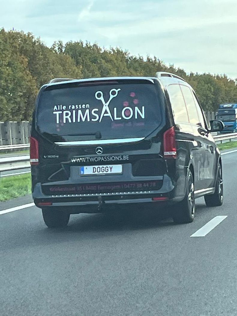 Gewoon een verzameling hilarische foto's #1677
