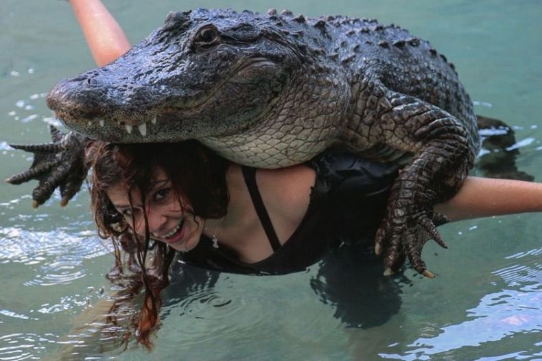 Gewoon een verzameling hilarische foto's #1679