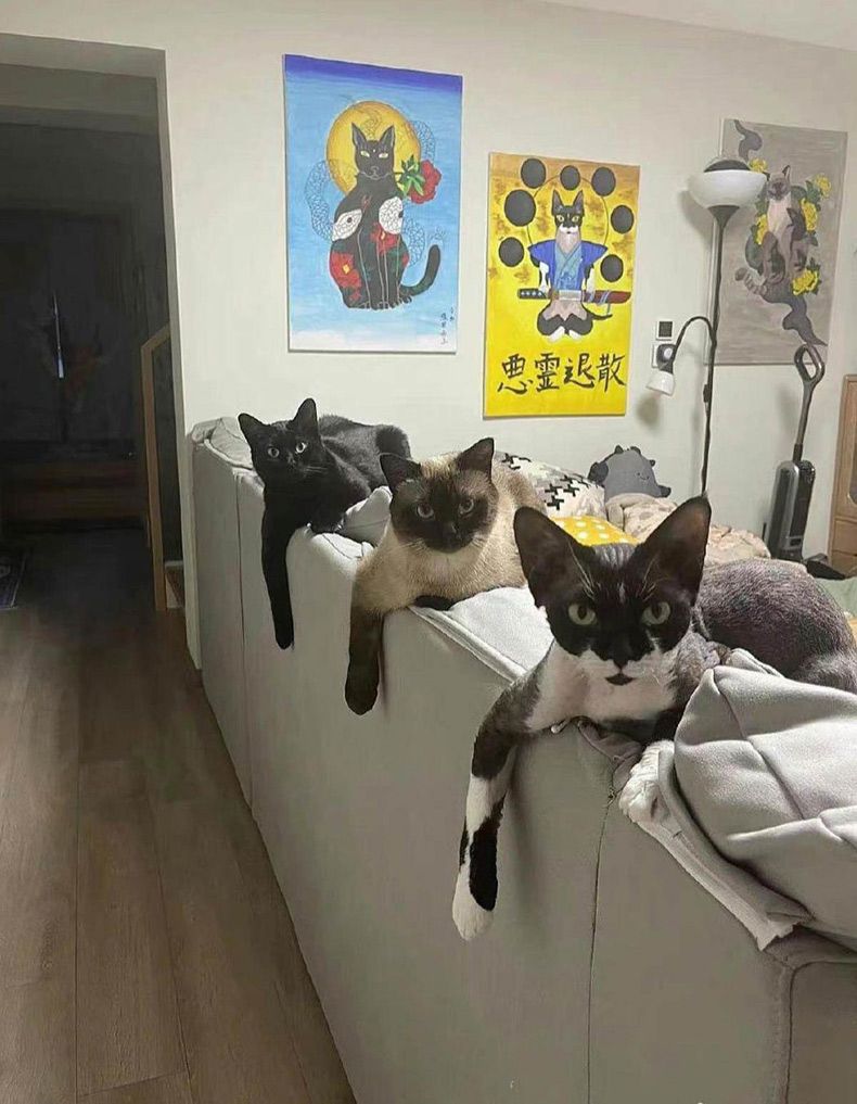 Gewoon een verzameling hilarische foto's #1679