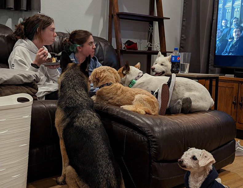 Gewoon een verzameling hilarische foto's #1679