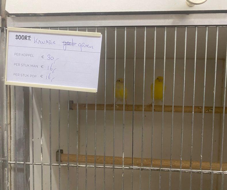 Gewoon een verzameling hilarische foto's #1679