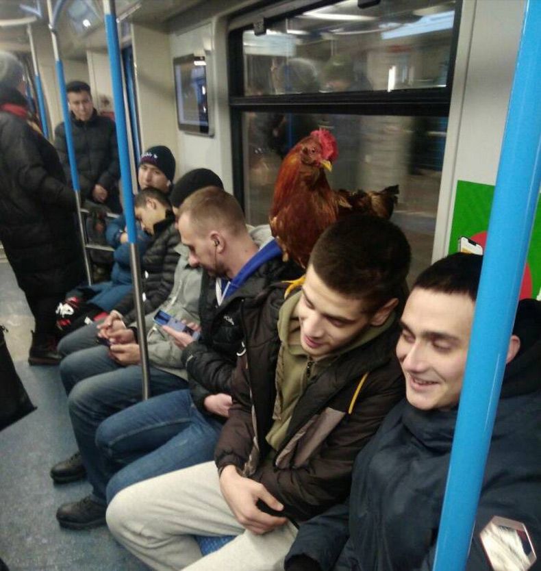 Gewoon een verzameling hilarische foto's #1683