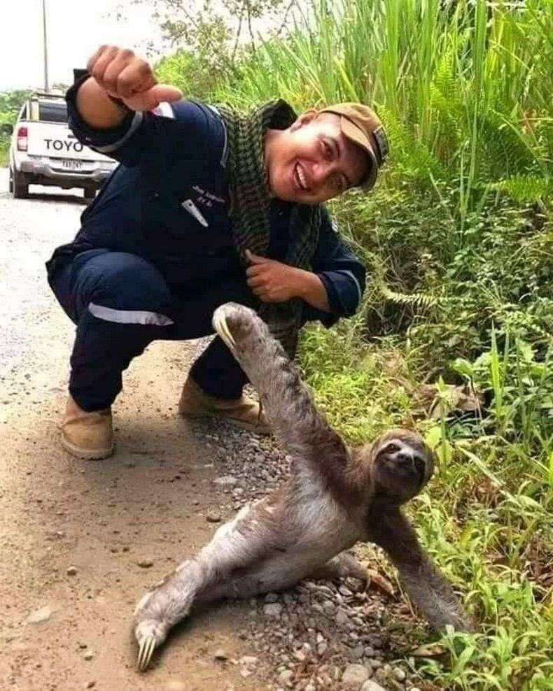 Gewoon een verzameling hilarische foto's #1683