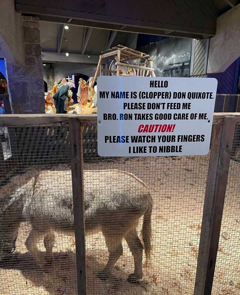 Gewoon een verzameling hilarische foto's #1683