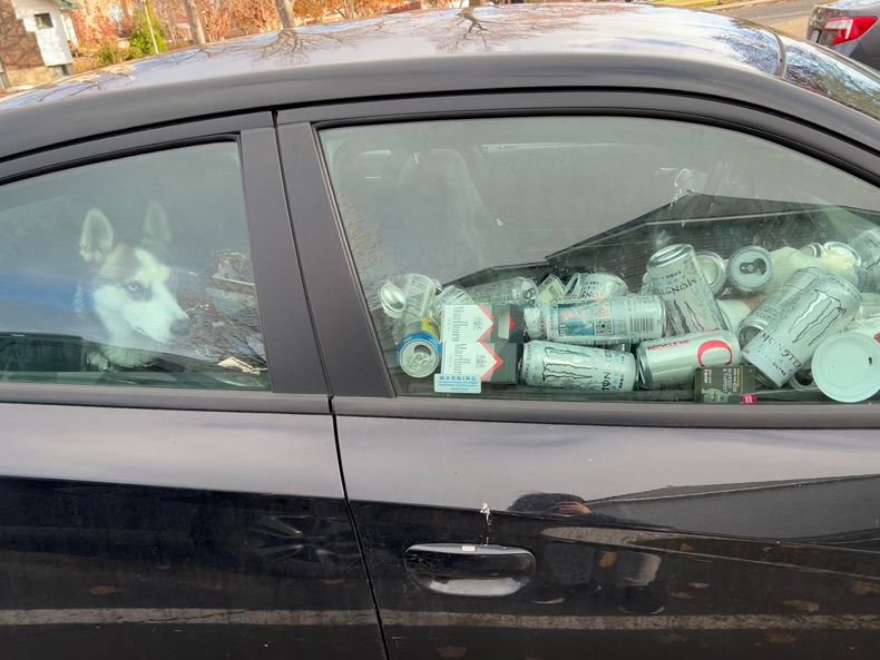 Gewoon een verzameling hilarische foto's #1683