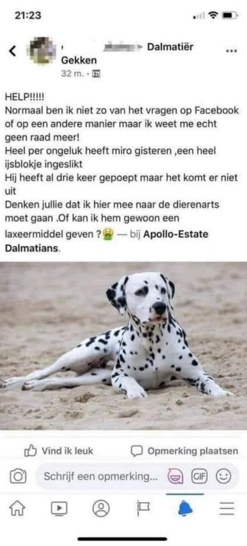 Gewoon een verzameling hilarische foto's #1683