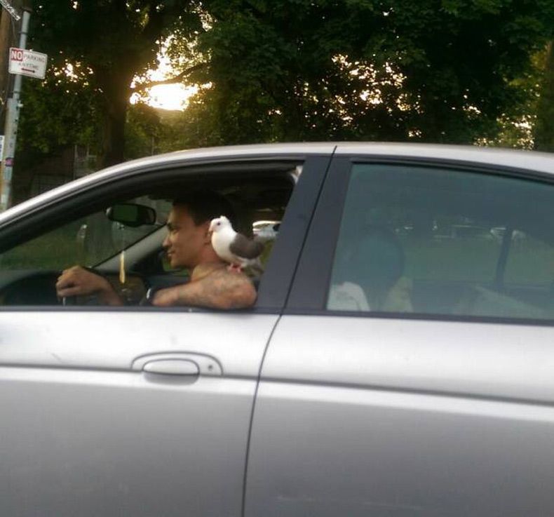 Gewoon een verzameling hilarische foto's #1688