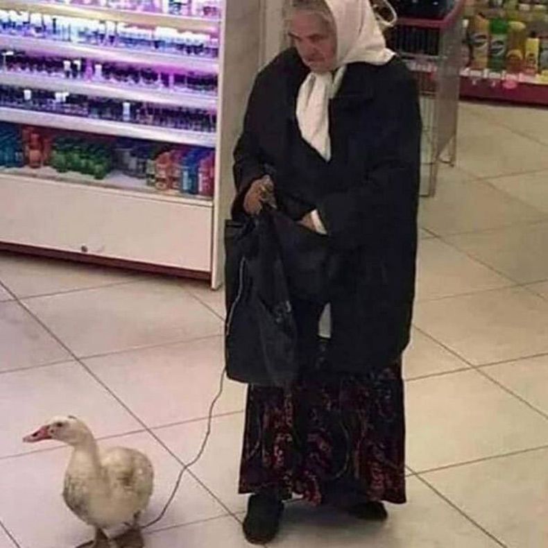 Gewoon een verzameling hilarische foto's #1688