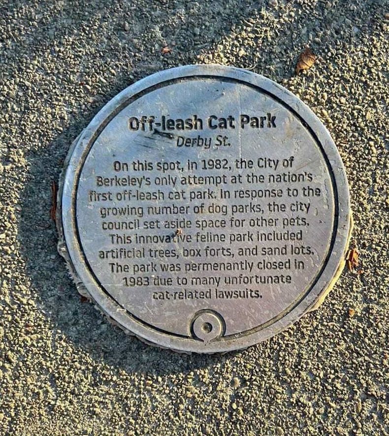 Gewoon een verzameling hilarische foto's #1688