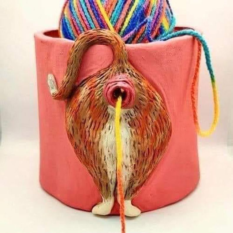 Gewoon een verzameling hilarische foto's #1688