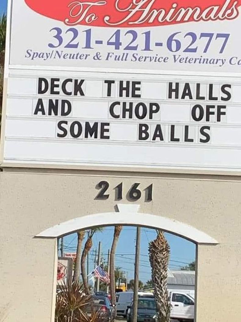 Gewoon een verzameling hilarische foto's #1688