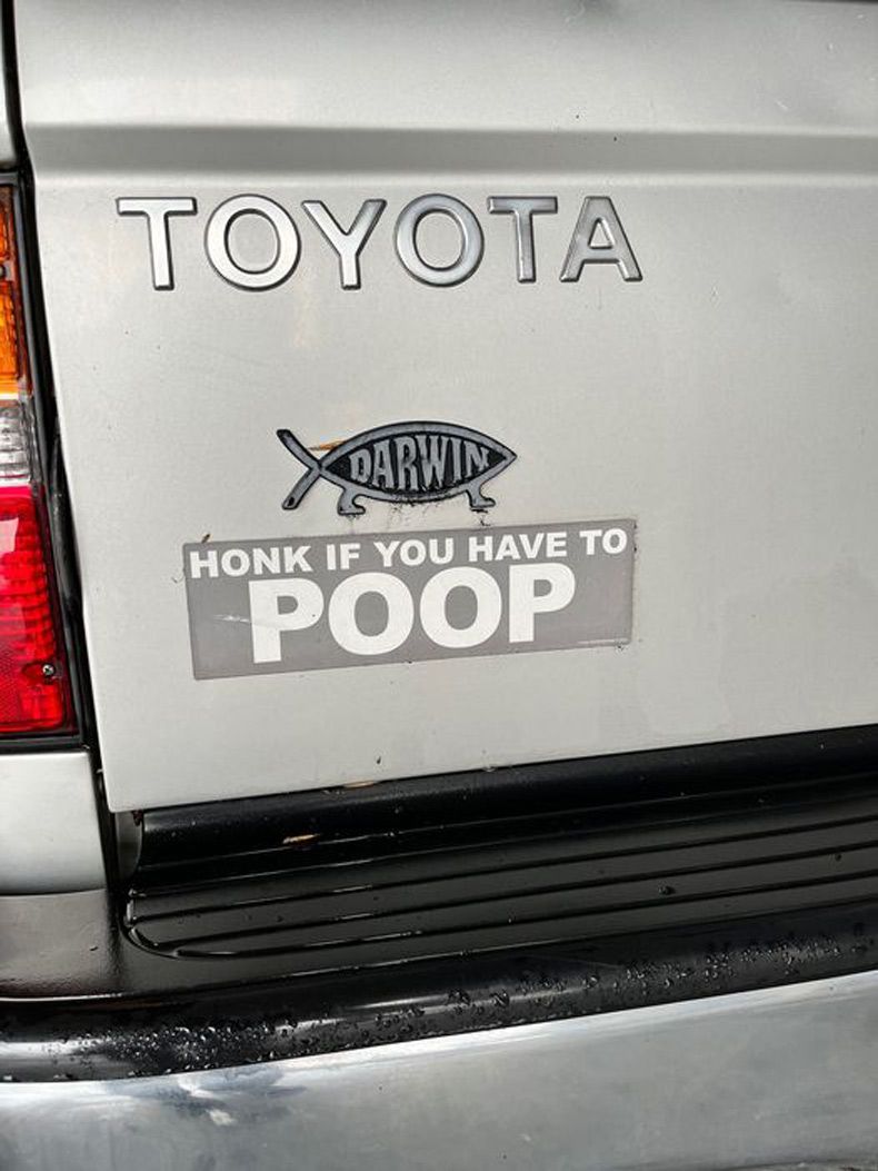 Gewoon een verzameling hilarische foto's #1688