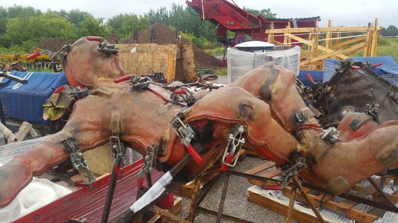 Gewoon een verzameling hilarische foto's #1688