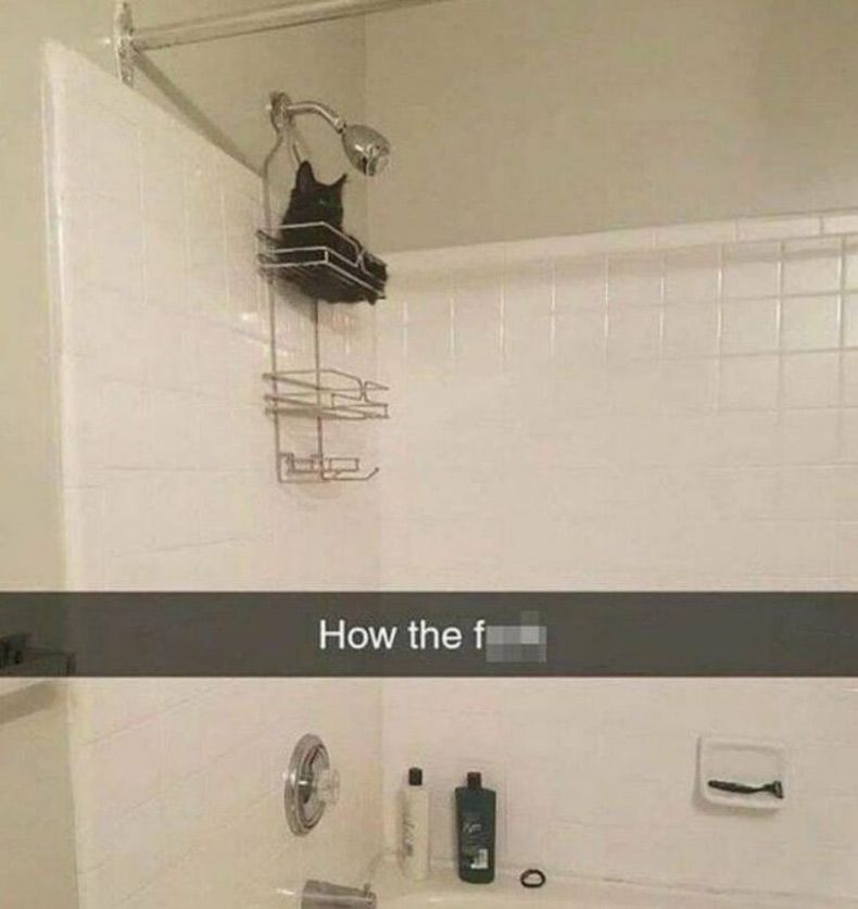 Gewoon een verzameling hilarische foto's #1689