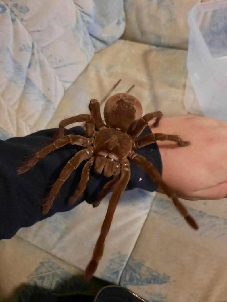 Gewoon een verzameling hilarische foto's #1689