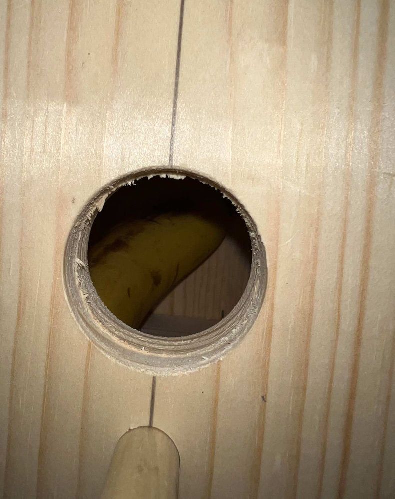 Gewoon een verzameling hilarische foto's #1689