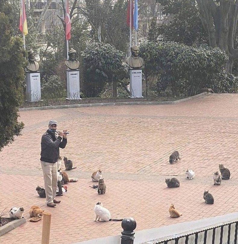 Gewoon een verzameling hilarische foto's #1689