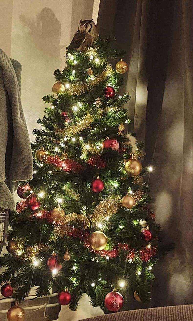 Gewoon een verzameling hilarische foto's #1689