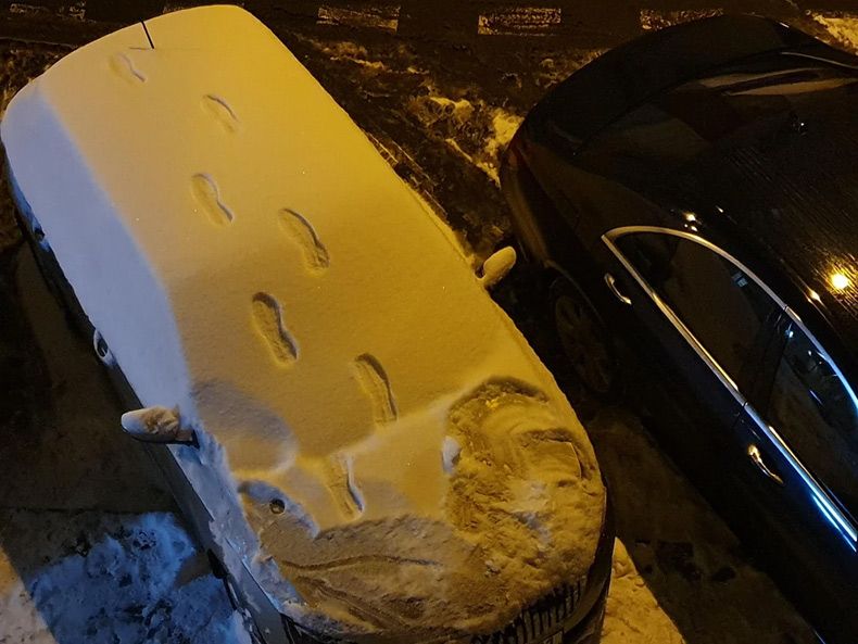 Gewoon een verzameling hilarische foto's #1690