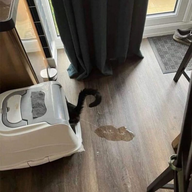 Gewoon een verzameling hilarische foto's #1690