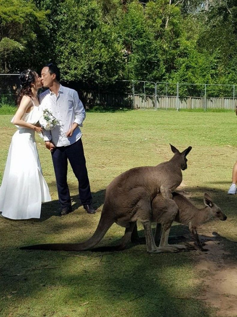 Gewoon een verzameling hilarische foto's #1690