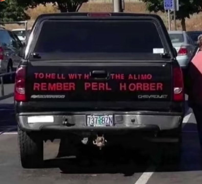 Gewoon een verzameling hilarische foto's #1690