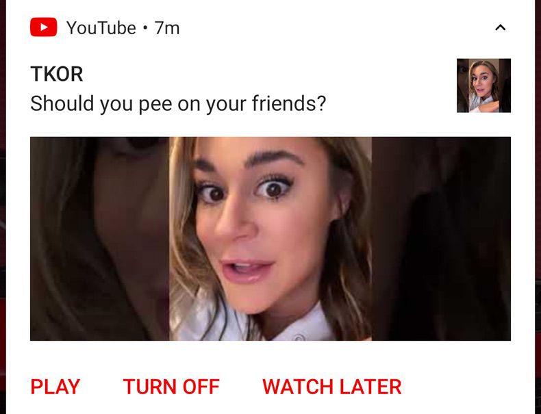 Gewoon een verzameling hilarische foto's #1690