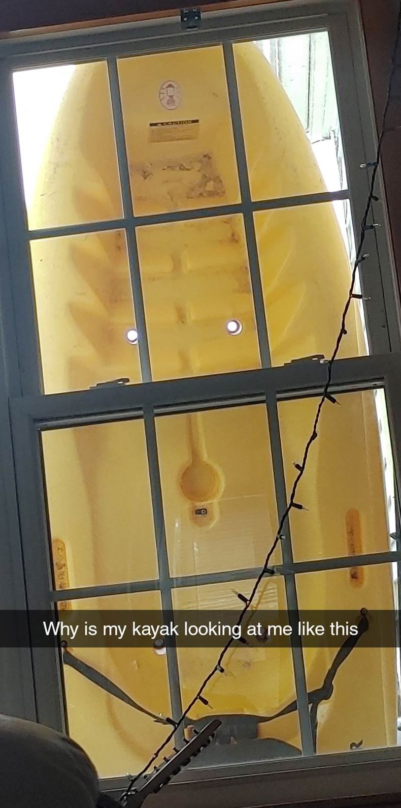 Gewoon een verzameling hilarische foto's #1690