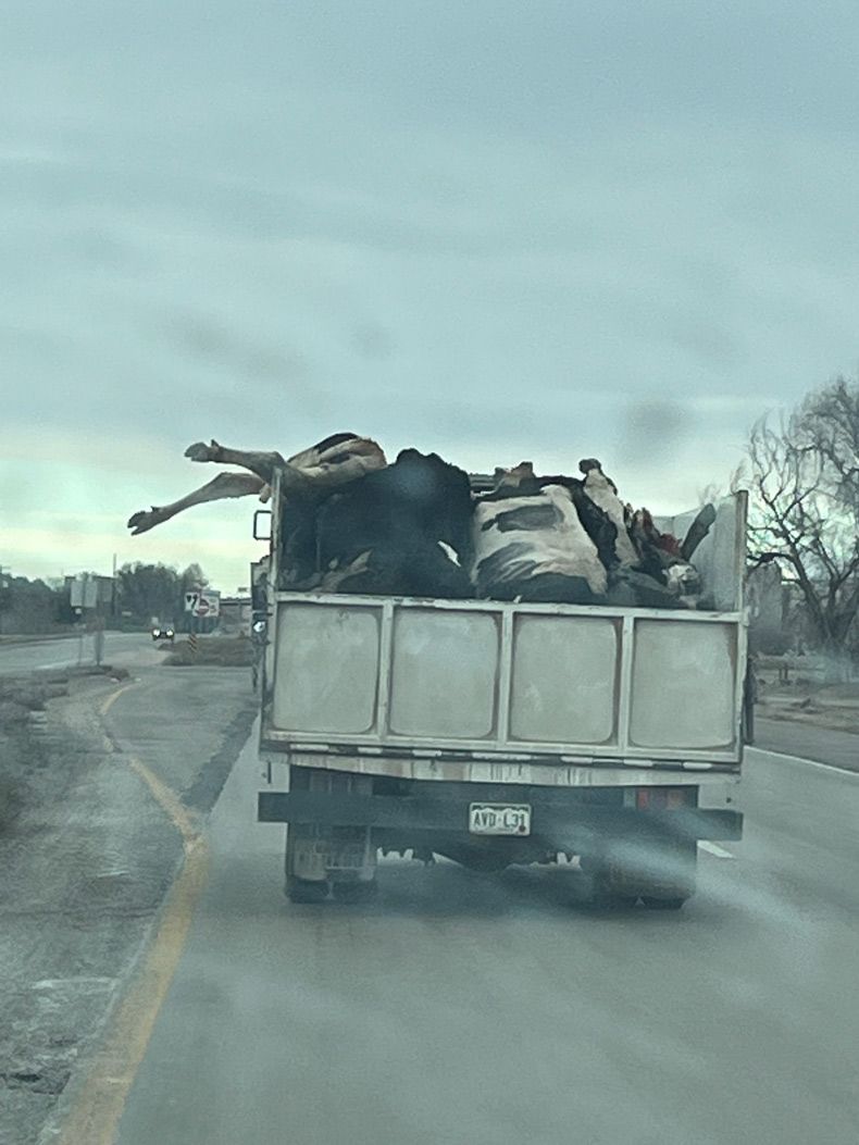 Gewoon een verzameling hilarische foto's #1690