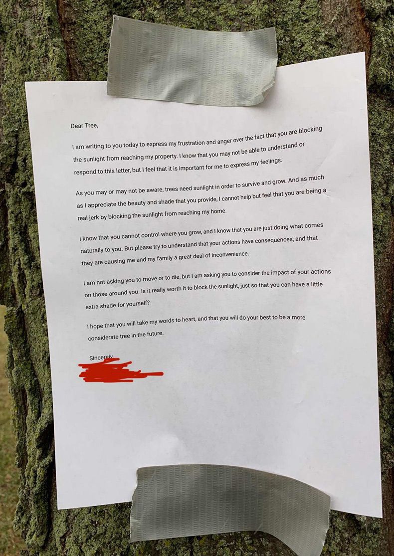 Gewoon een verzameling hilarische foto's #1690