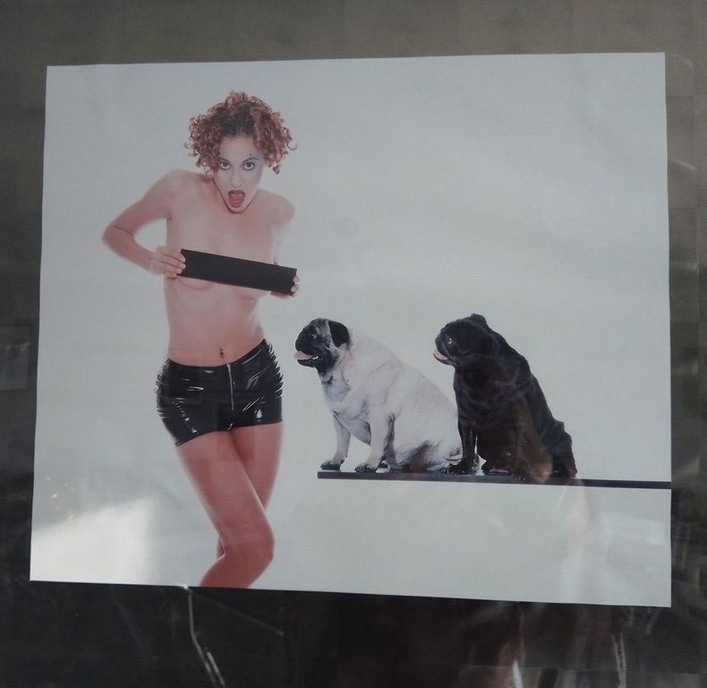 Gewoon een verzameling hilarische foto's #1690