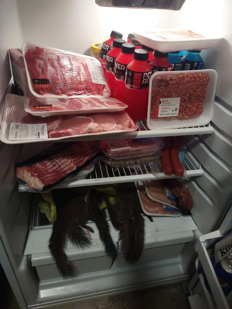 Gewoon een verzameling hilarische foto's #1690