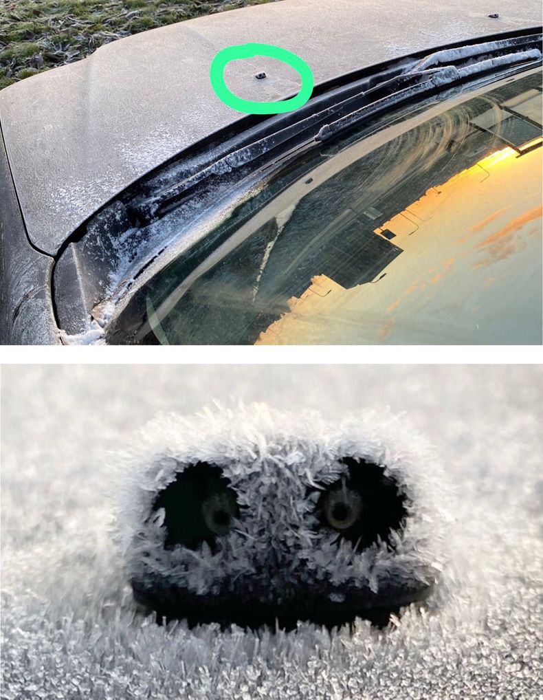 Gewoon een verzameling hilarische foto's #1690