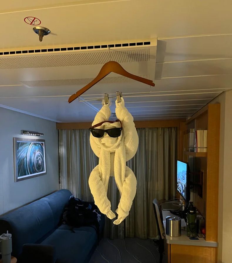 Gewoon een verzameling hilarische foto's #1692