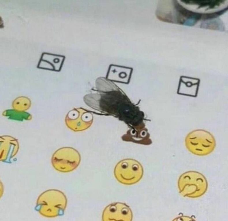 Gewoon een verzameling hilarische foto's #1692