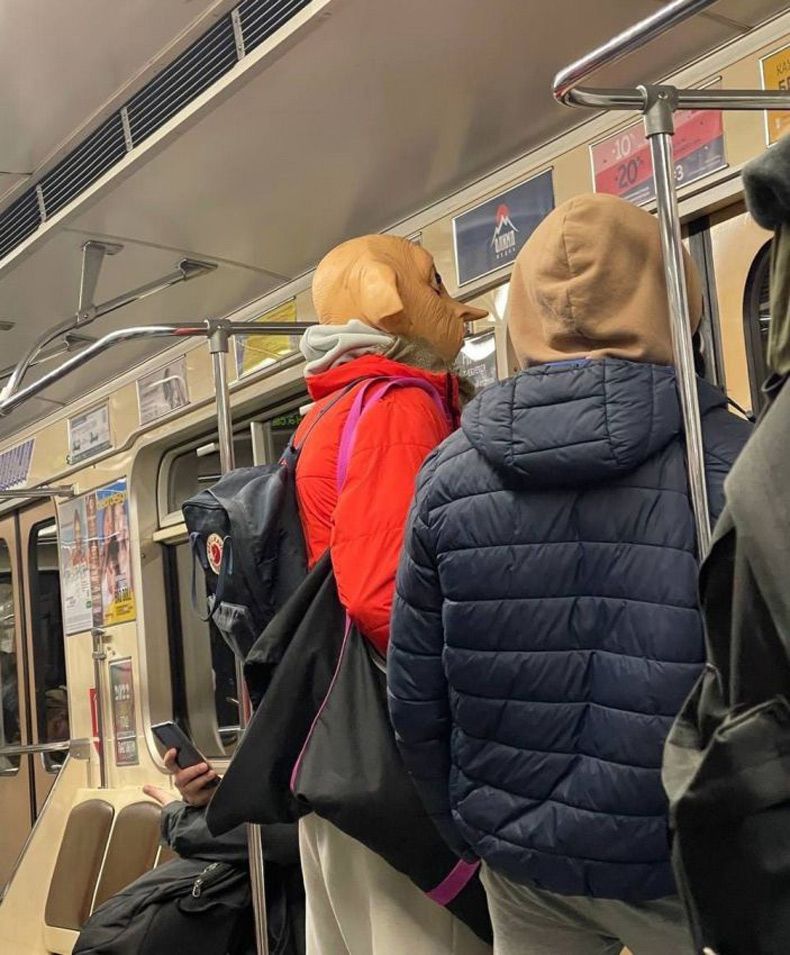 Gewoon een verzameling hilarische foto's #1693