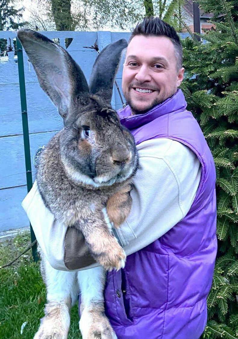 Gewoon een verzameling hilarische foto's #1693