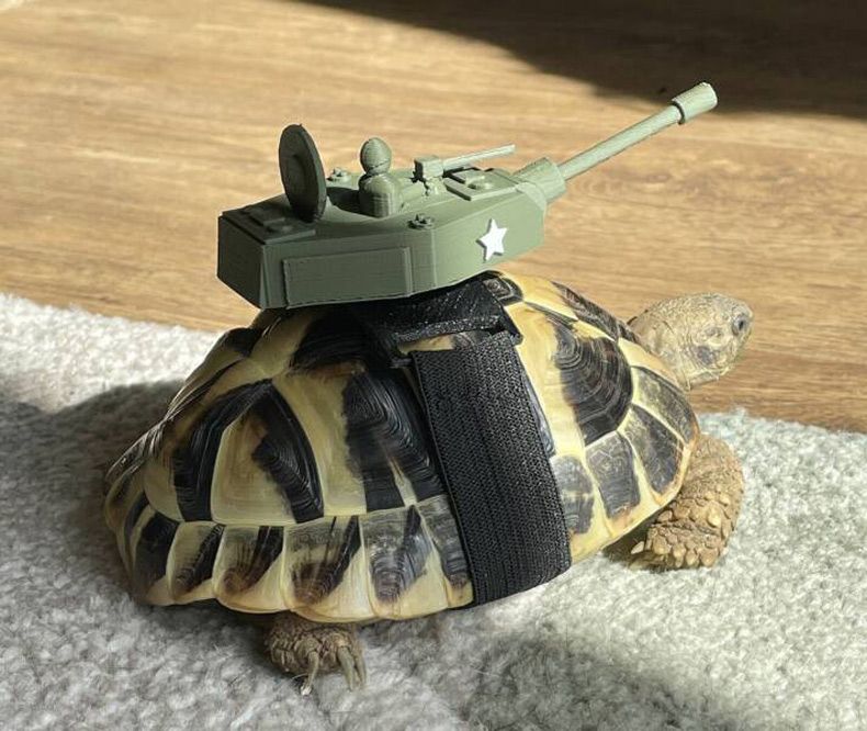 Gewoon een verzameling hilarische foto's #1693