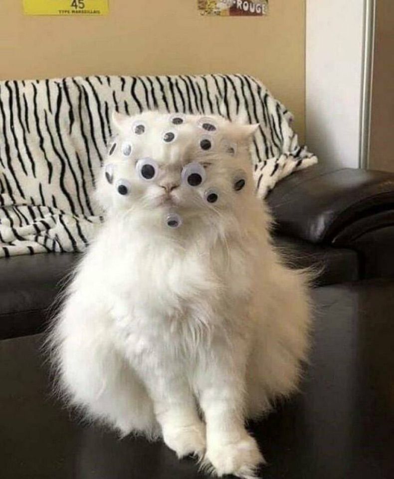 Gewoon een verzameling hilarische foto's #1693