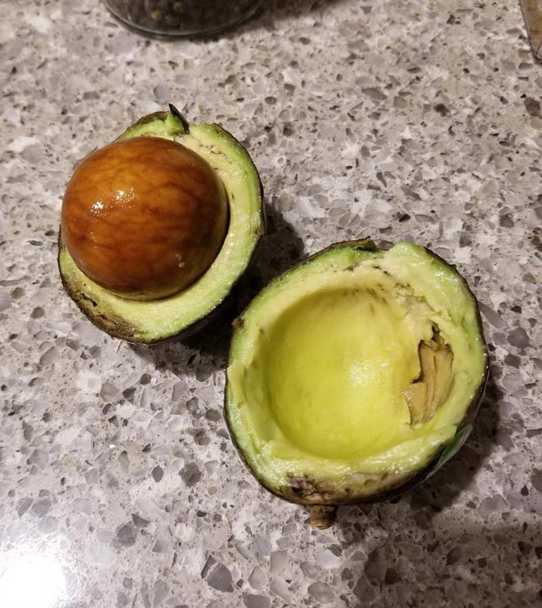 Gewoon een verzameling hilarische foto's #1693