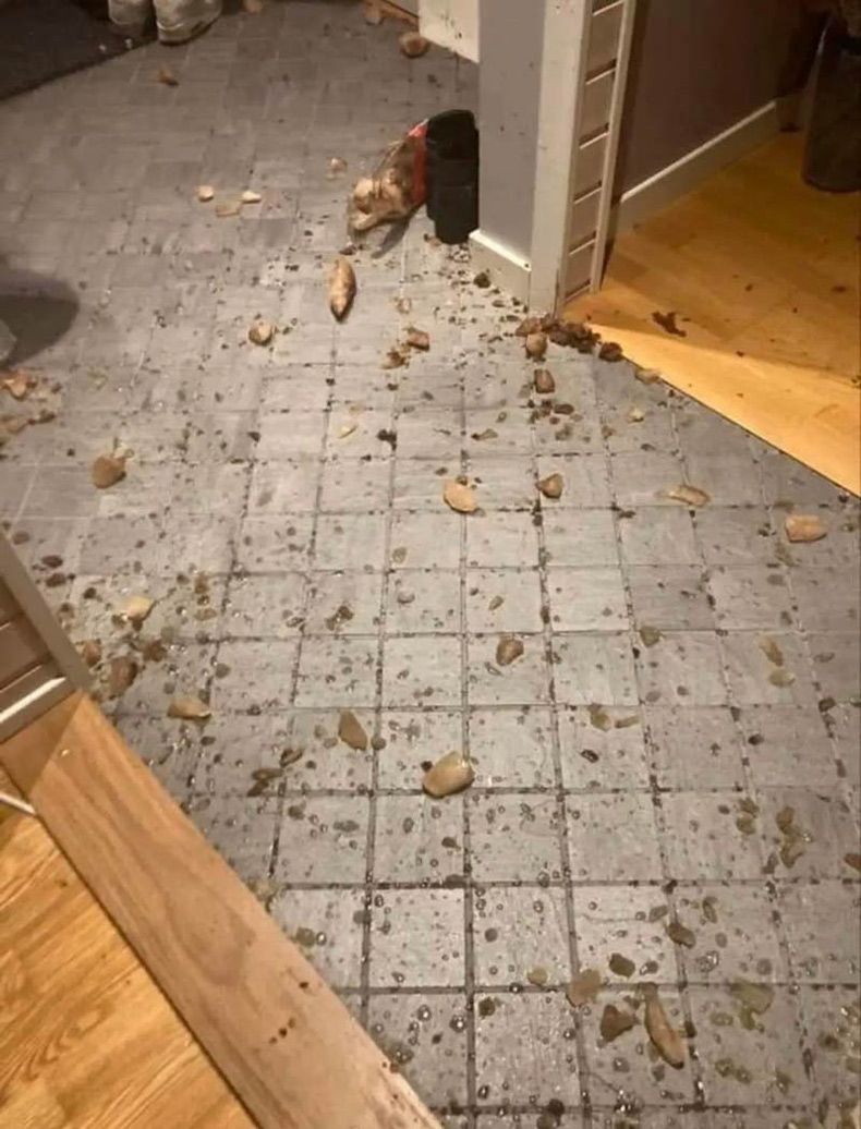 Gewoon een verzameling hilarische foto's #1693